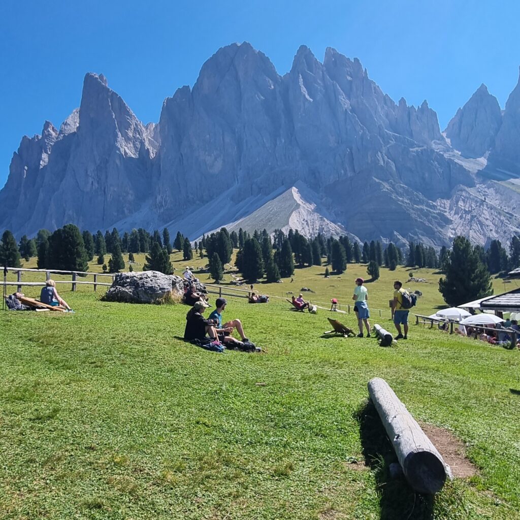 Tranquil Hike at the Adolf Munkel Trail