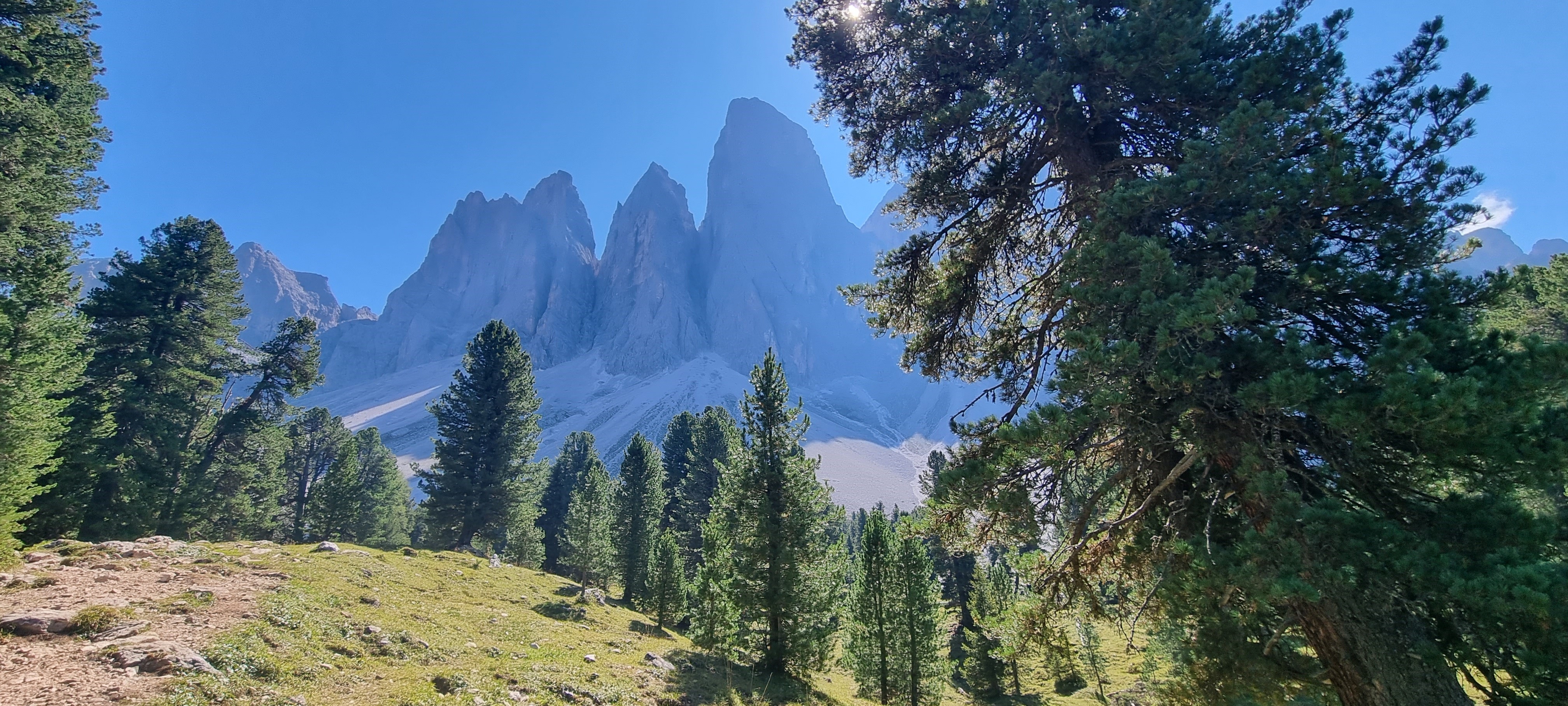 Tranquil Hike at the Adolf Munkel Trail