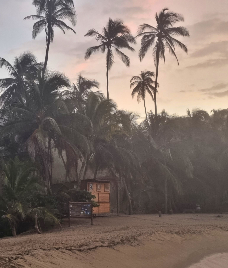 Scenic view of Cabo San Juan beach in Tayrona National Park, with turquoise waters, white sand, and swaying palm trees.