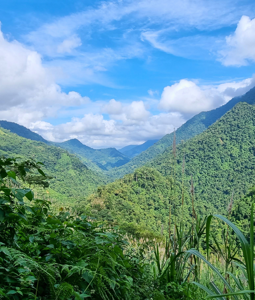 Panoramic view over the lush green mountains of the Sierra Nevada from Minca, with misty hills and dense jungle canopy.