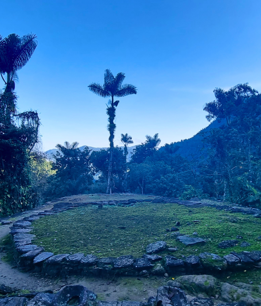 Stone steps winding through the jungle leading to the early ruins of the Lost City, partially hidden by dense vegetation.