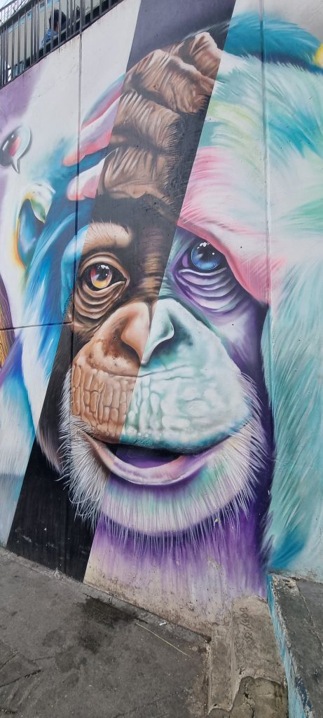Vibrant and colorful street art on a wall in Medellín, showcasing the city's thriving urban street art scene.