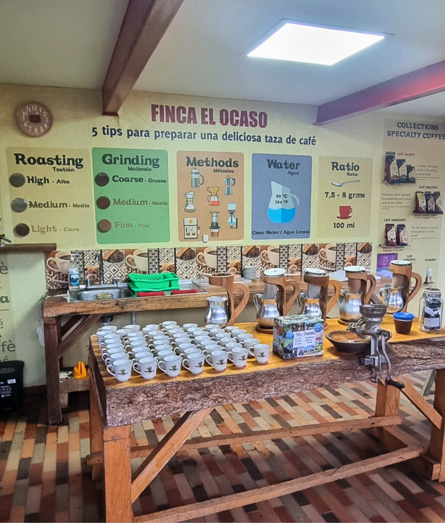 The coffee-making process at Finca El Ocaso, with fresh coffee cherries being sorted and processed by local workers in a rustic setting.
